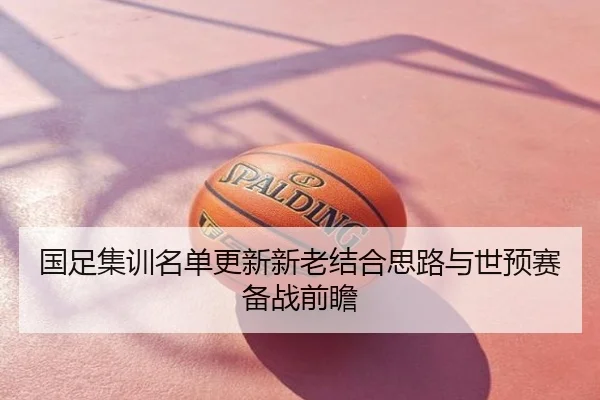 国足集训名单更新新老结合思路与世预赛备战前瞻